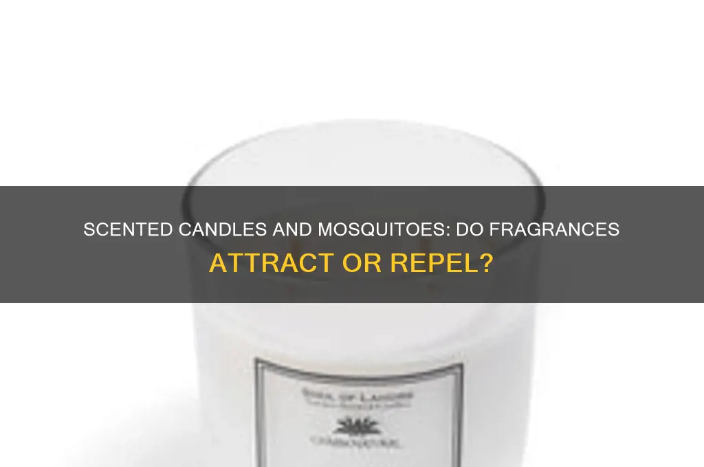 do scented candles attract mosquitoes