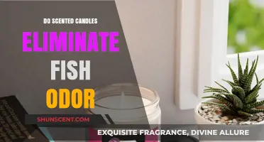 Can Scented Candles Effectively Neutralize Lingering Fish Odors at Home?