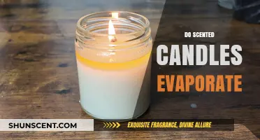 Do Scented Candles Evaporate? Understanding Wax and Fragrance Dispersion