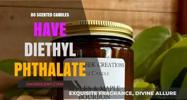Are Scented Candles Safe? Uncovering Diethyl Phthalate Concerns