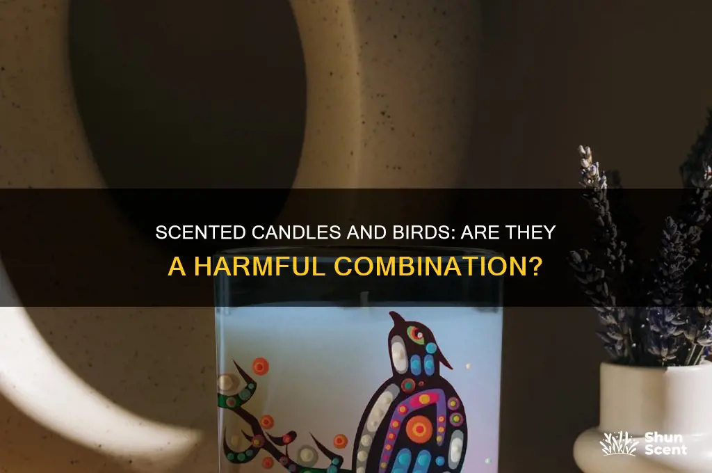 do scented candles hurt birds
