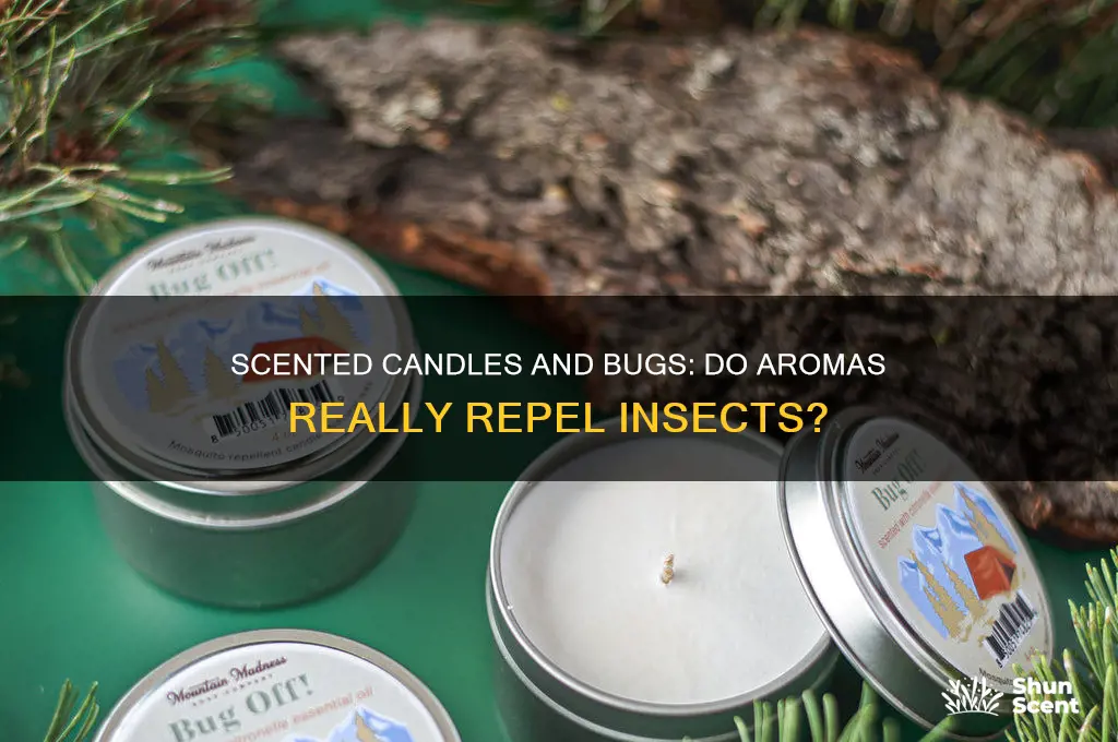 do scented candles keep bugs away