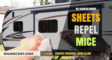 Scented Dryer Sheets: Effective Mouse Repellent or Myth?