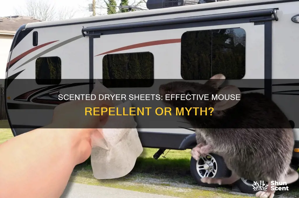 do scented dryer sheets repel mice