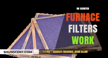 Do Scented Furnace Filters Work? Unveiling the Truth and Benefits