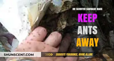 Scented Garbage Bags: Effective Ant Repellent or Just a Myth?