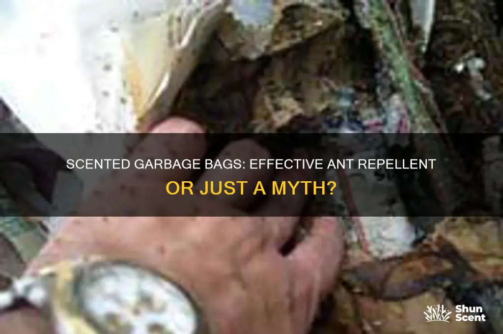 do scented garbage bags keep ants away