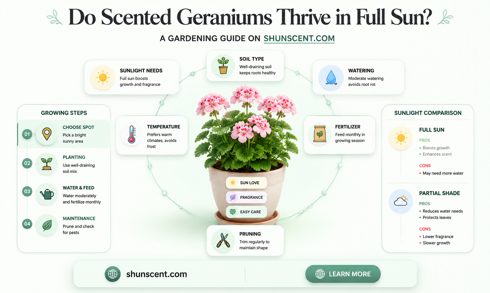 are scented geraniums full sun