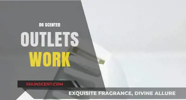 Do Scented Outlets Work? Uncovering the Truth Behind Aromatic Plugs