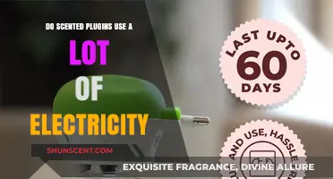 Scented Plugins: Electricity Usage and Energy Efficiency Explained