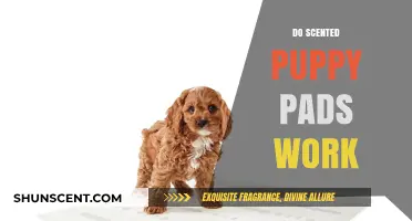 Do Scented Puppy Pads Work? A Comprehensive Review and Guide