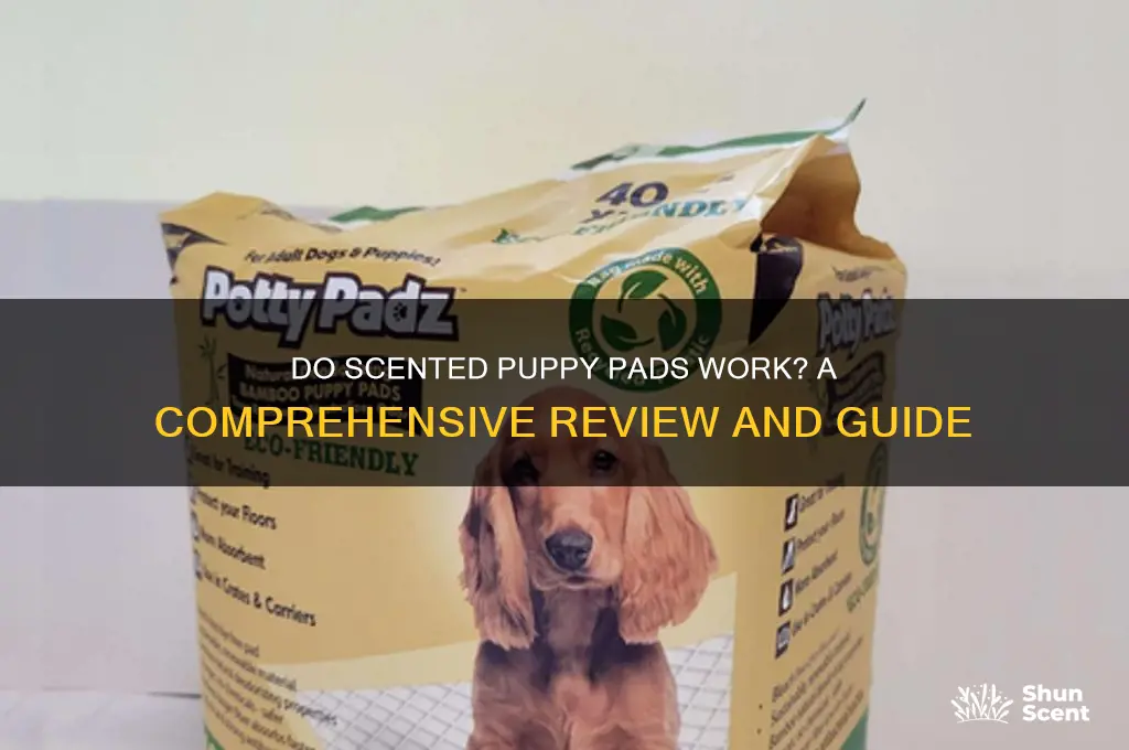 do scented puppy pads work