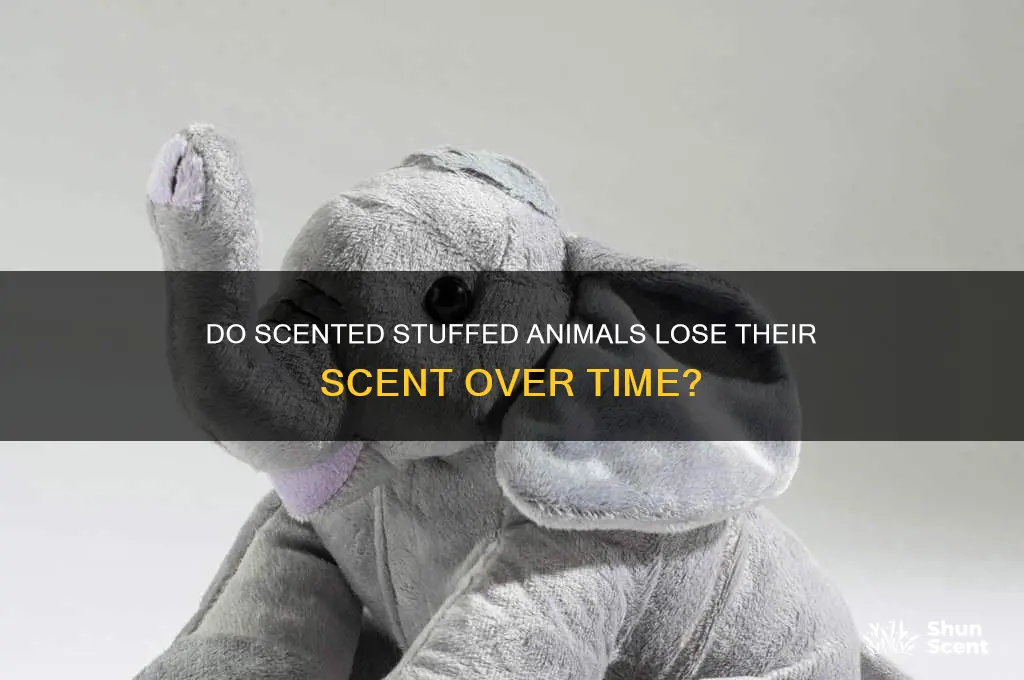 do scented stuffed animals lose their scent