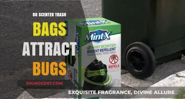 Scented Trash Bags: Bug Magnets or Odor Solution?
