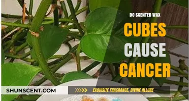 Scented Wax Cubes and Cancer: Separating Fact from Fiction