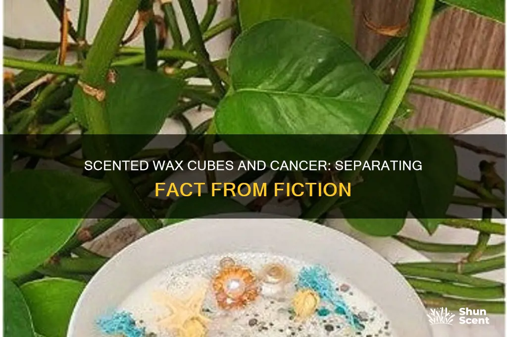 do scented wax cubes cause cancer