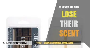 Do Scented Wax Cubes Lose Their Scent Over Time?
