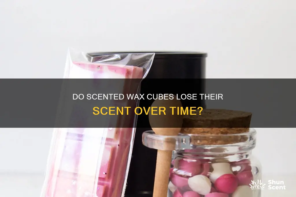 do scented wax cubes lose their scent
