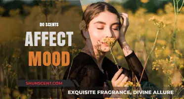 Scents and Sentiments: How Aromas Influence Your Mood and Mind