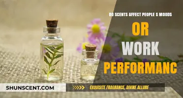 Scents and Sentiments: How Aromas Influence Moods and Productivity