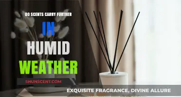 How Humidity Enhances Scent Travel: Unveiling the Science Behind It