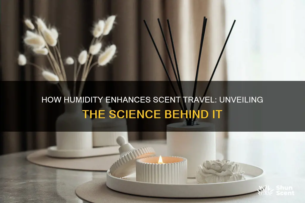 do scents carry further in humid weather