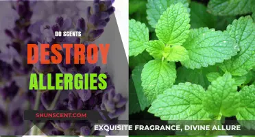Can Aromatherapy Scents Alleviate or Worsen Allergy Symptoms?