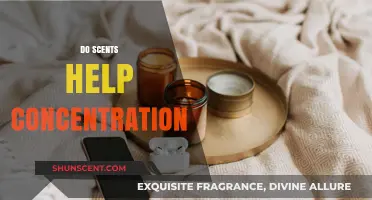 Can Aromas Boost Focus? Exploring Scents for Enhanced Concentration