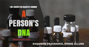 Can Object Scents Alter Human DNA? Exploring the Science Behind Aromas