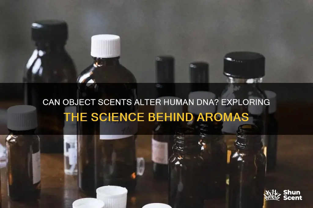do scents in objects change a person