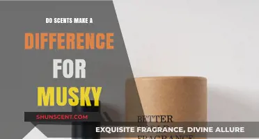 Musky Scents: Do Aromas Enhance or Distract from Natural Musk?