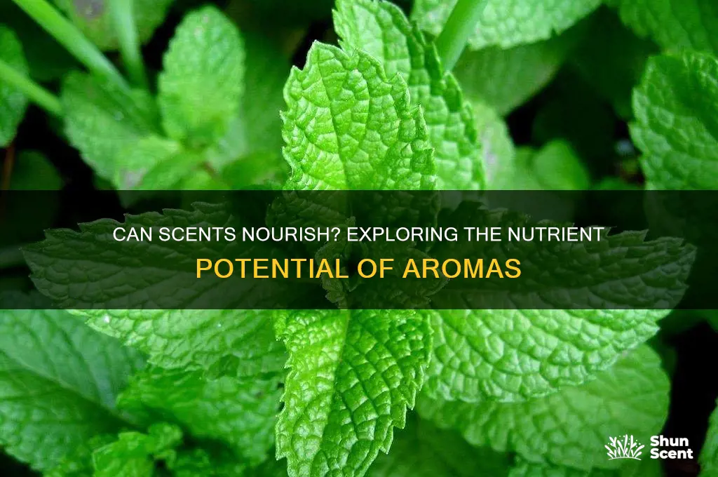 do scents provide nutrients
