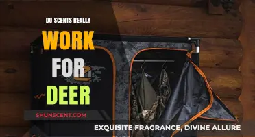 Do Deer Scents Actually Work? Uncovering the Truth for Hunters