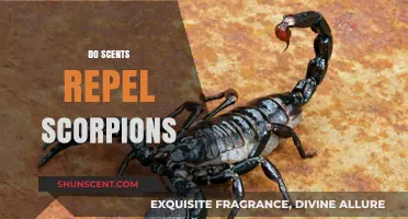 Can Scents Keep Scorpions Away? Exploring Natural Repellents
