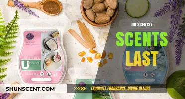 How Long Do Scentsy Scents Last? A Comprehensive Guide