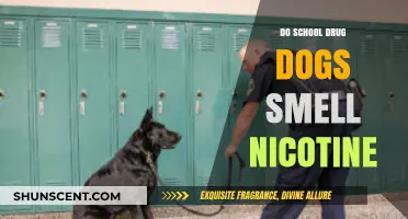 Sniffing Out Nicotine: The Truth About School Drug Dogs