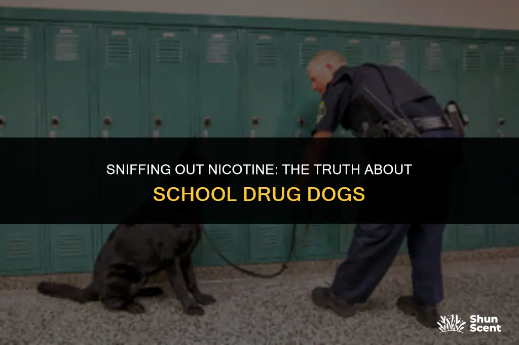 do school drug dogs smell nicotine
