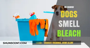 Unraveling the Myth: Do Search Dogs Really Smell Bleach?