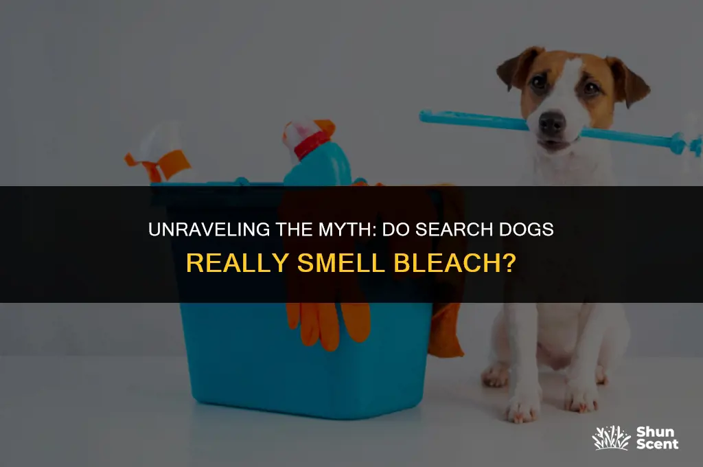do search dogs smell bleach