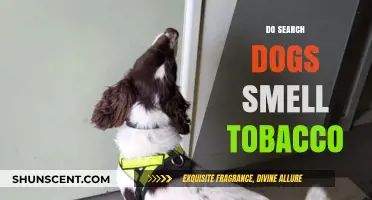 Unleashing the Truth: Do Search Dogs Really Smell Tobacco?