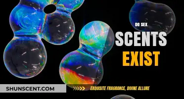 Do Sex Scents Exist? Exploring the Science of Pheromones and Attraction