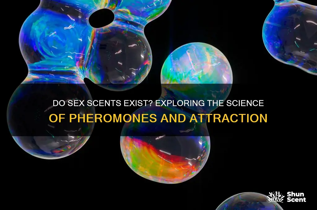 do sex scents exist