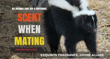 Skunk Mating Scents: Unveiling the Unique Aromas of Love