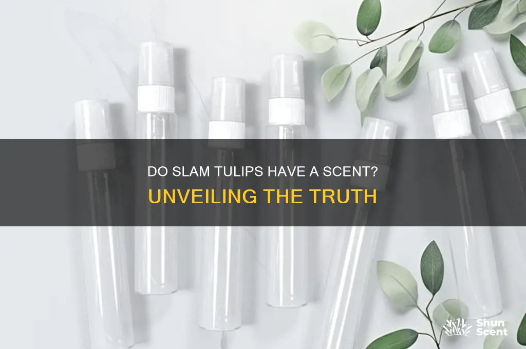 do slam tulips have a scent