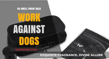 Do Smell Proof Bags Really Work Against Dogs?