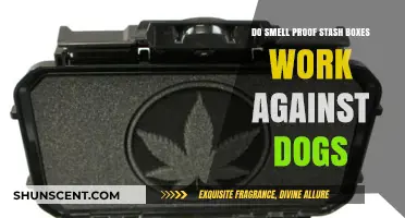 Do Smell Proof Stash Boxes Really Work Against Dogs?