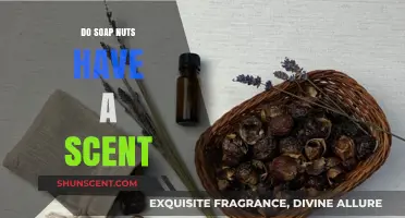 Do Soap Nuts Have a Scent? Uncovering Their Natural Aroma