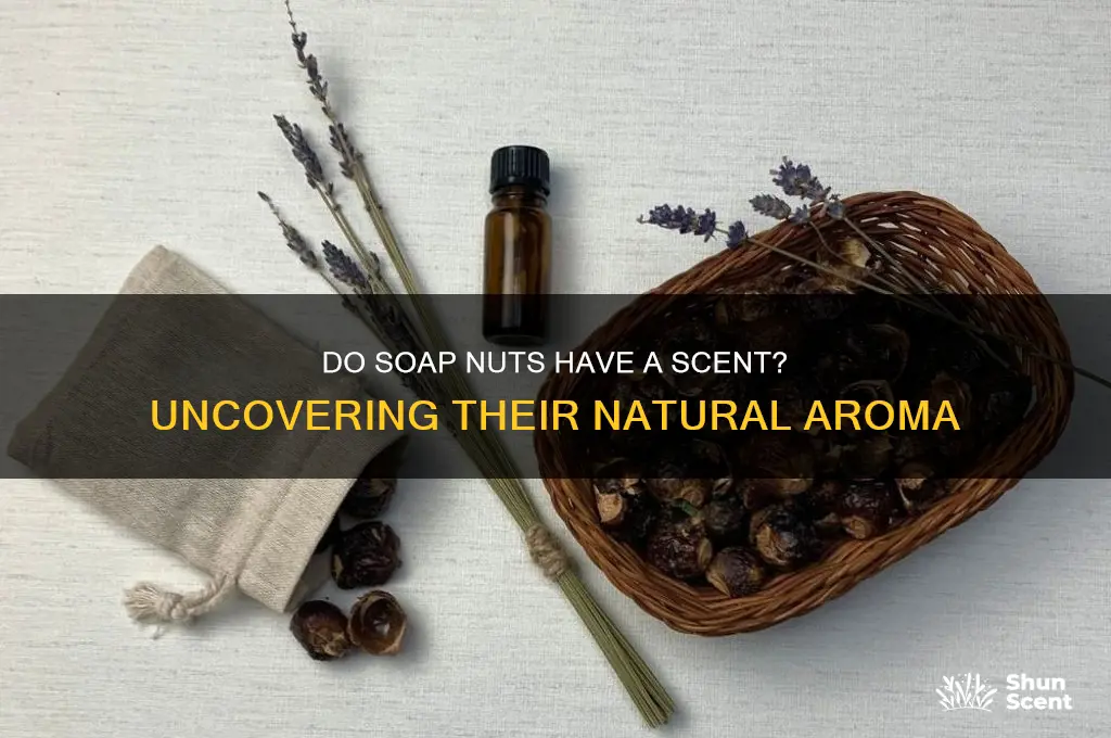 do soap nuts have a scent