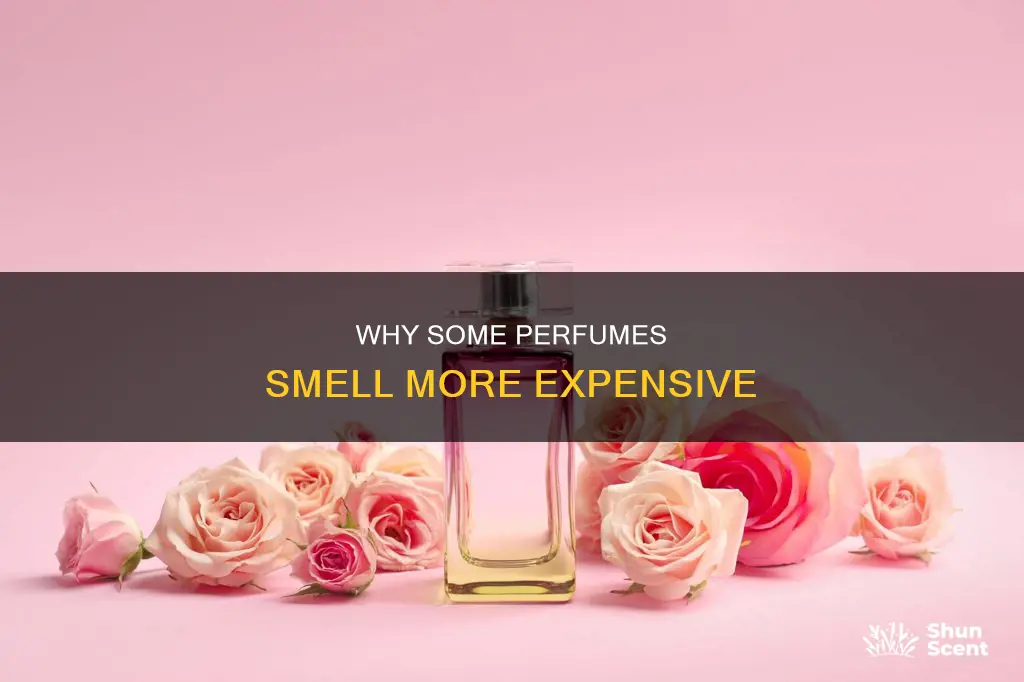 do some perfumes smell more expensive