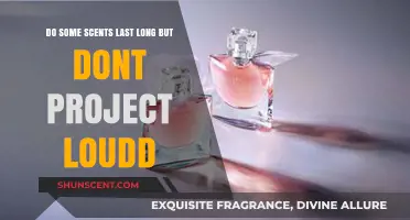 Long-Lasting Yet Subtle Scents: Unveiling the Art of Quiet Fragrance